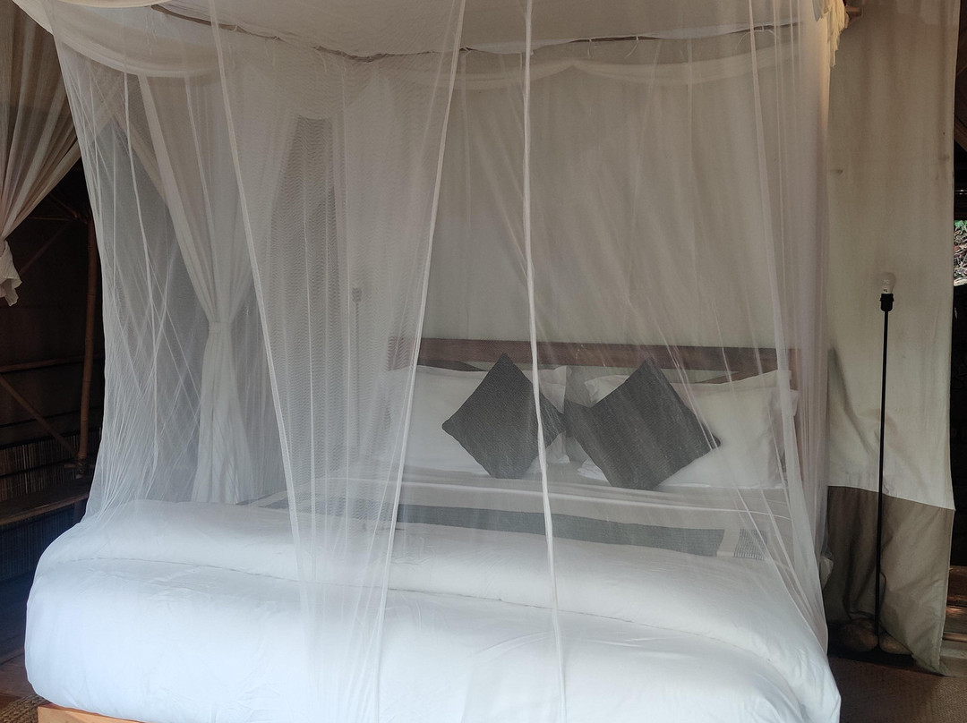 考斯兰达生活遗产度假屋主图