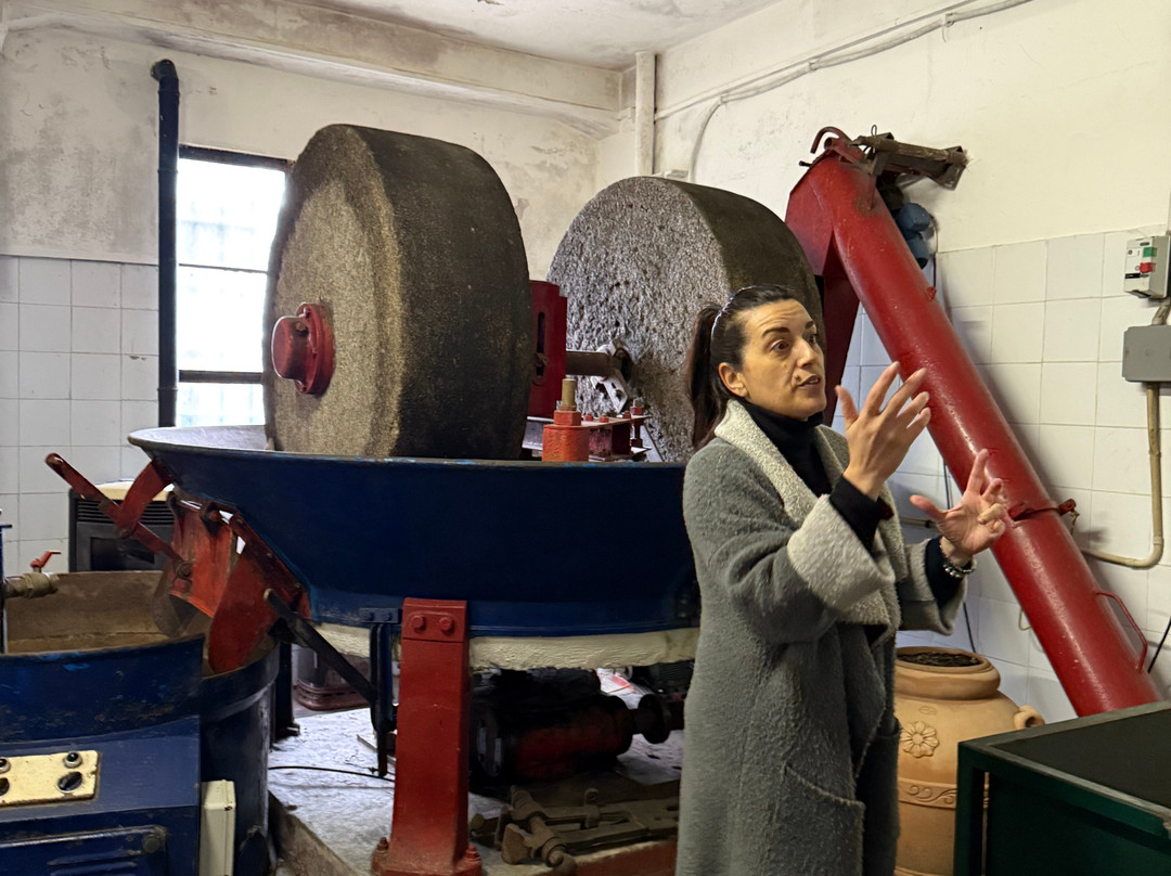 Teseotur-奥尔维耶托必去景点