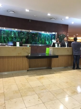 奥克兰机场假日酒店主图