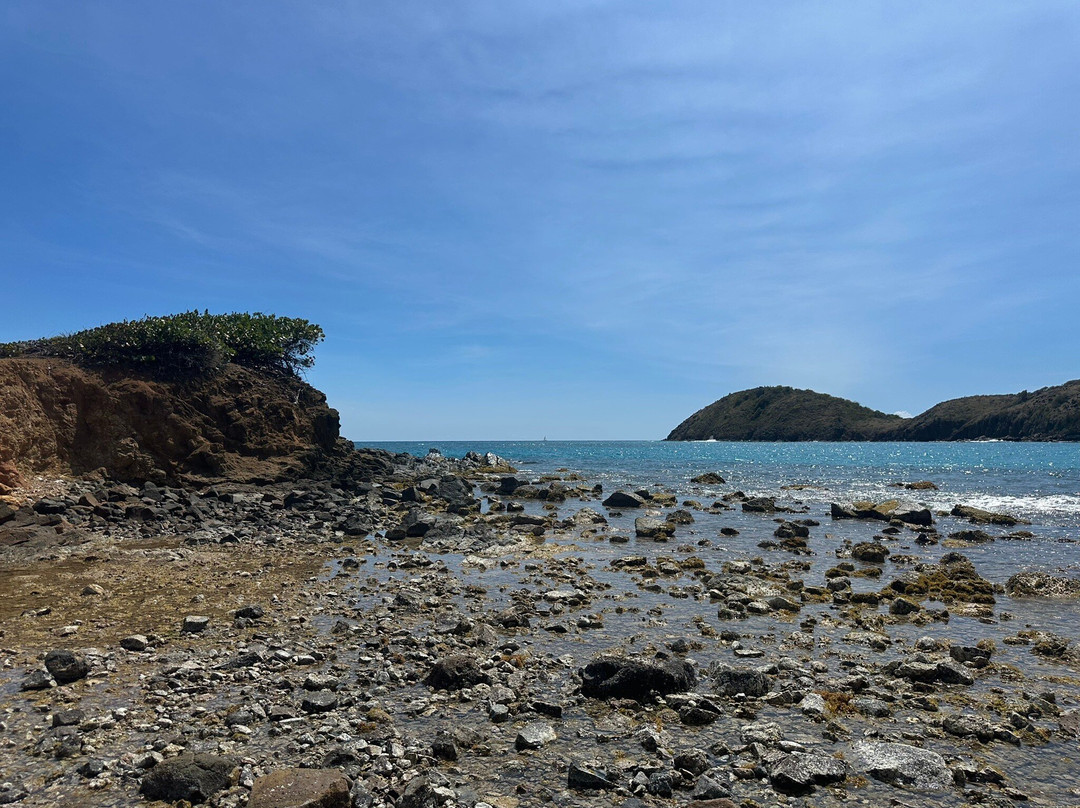 Rendezvous Bay Beach景点图片