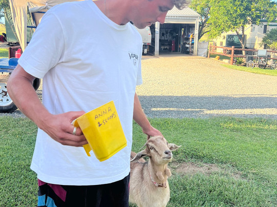 Alkoomi Adventure Farm-Marmor必去景点