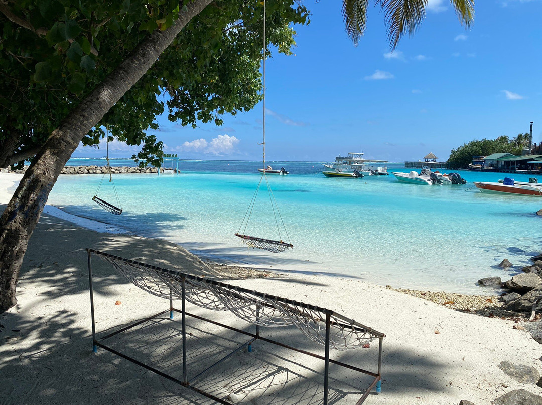 The Bilimbi Guesthouse & Inn主图