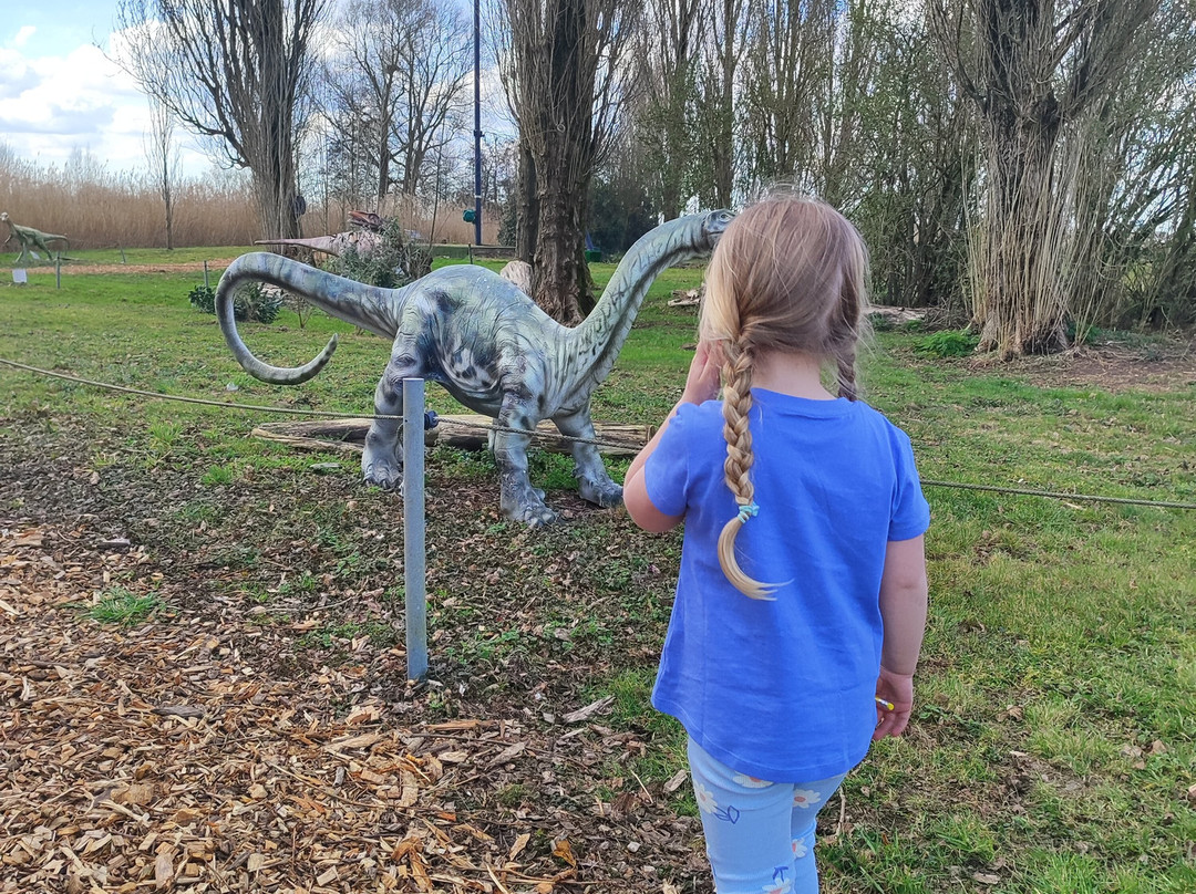 Dino Experience Park-高德必去景点