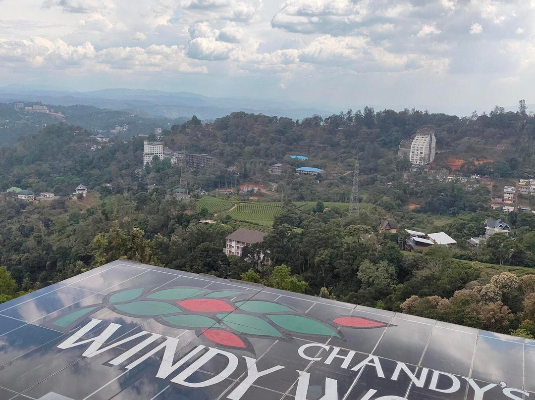 Chandys Windy Woods主图