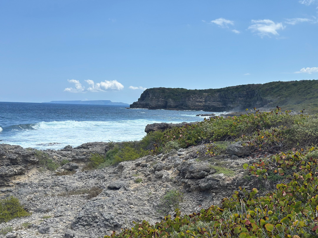 Blue Pearl-瓜德罗普岛必去景点
