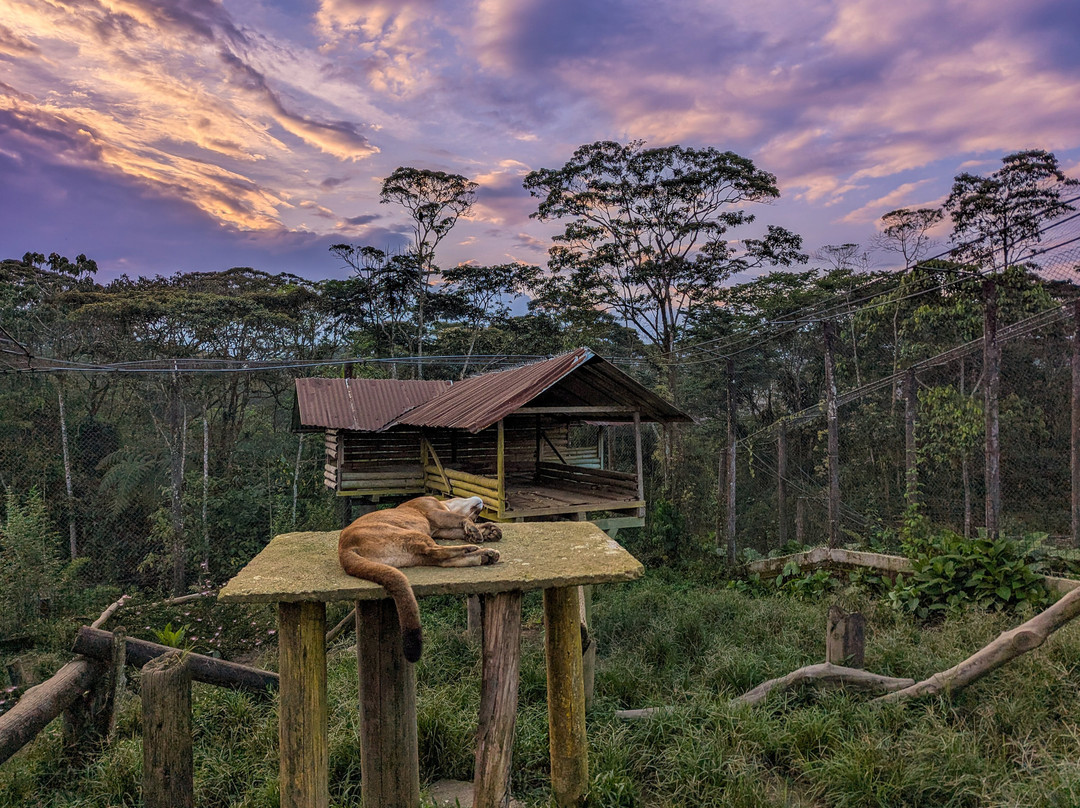 Zoorefugio Tarqui-Puyo必去景点