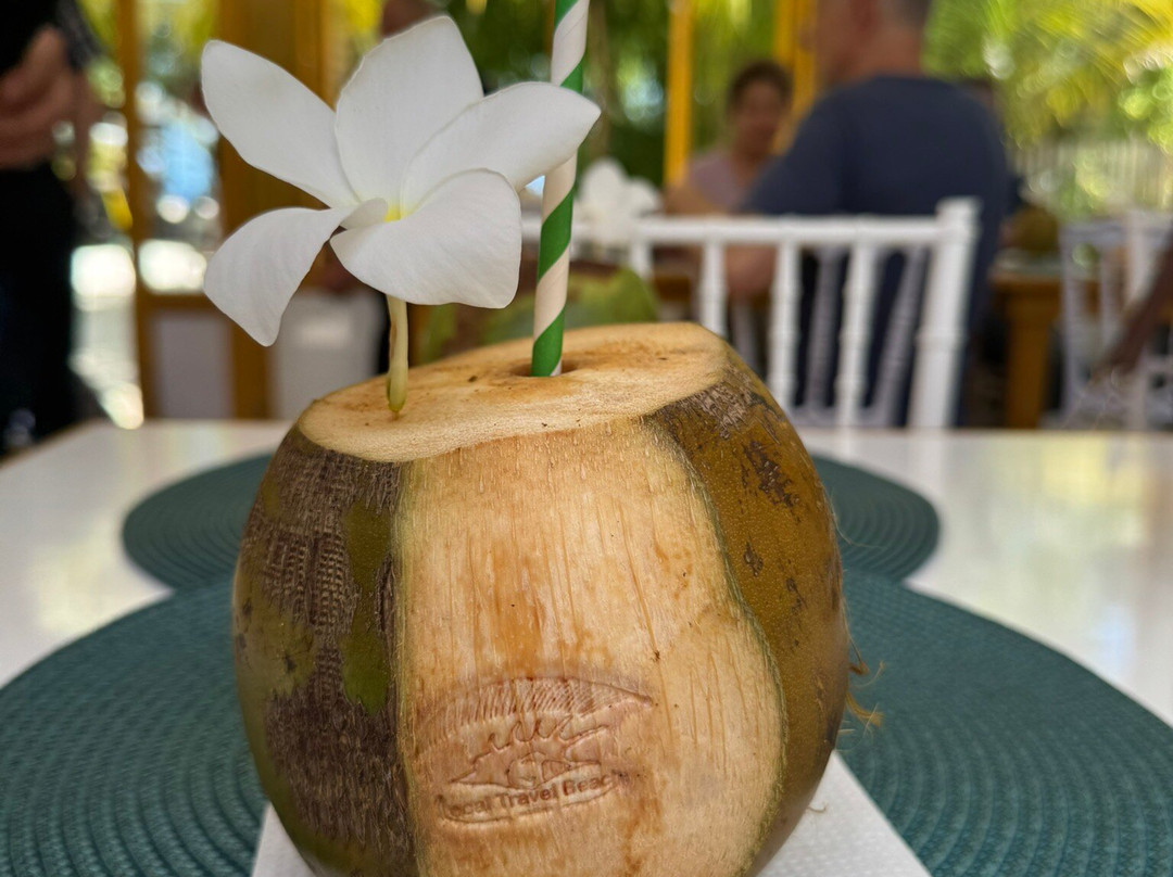 Local Travel Beach主图