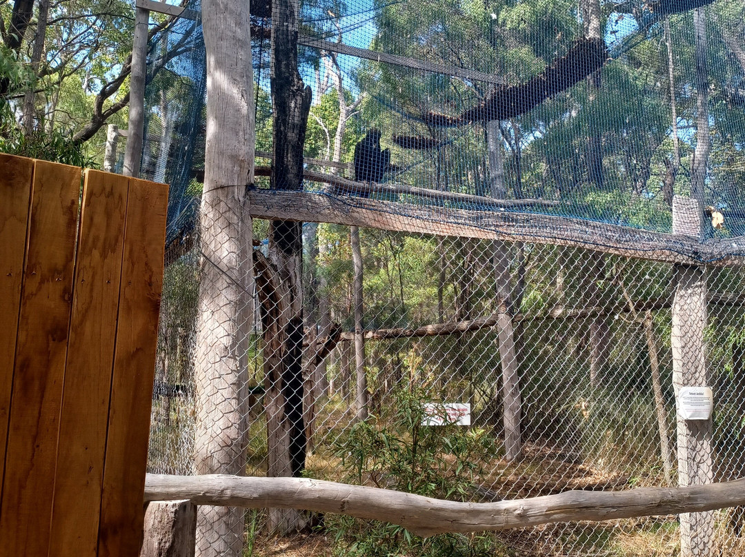 Capes Raptor Centre-玛格丽特河必去景点