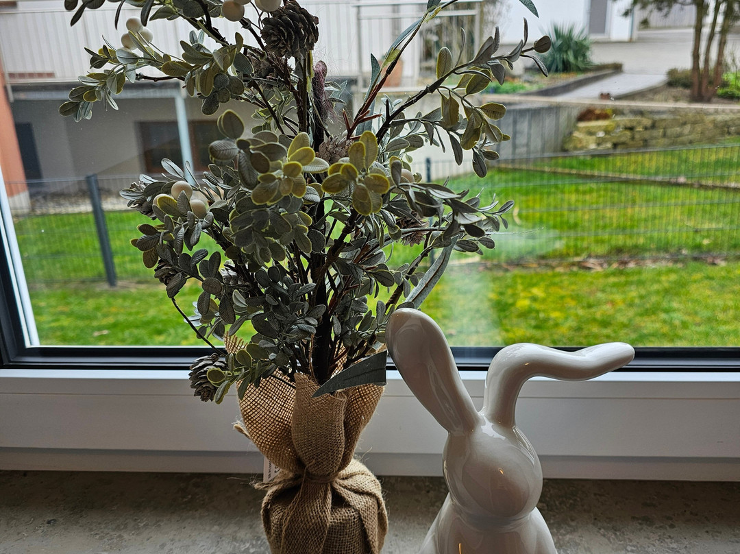 Pension Scharl主图