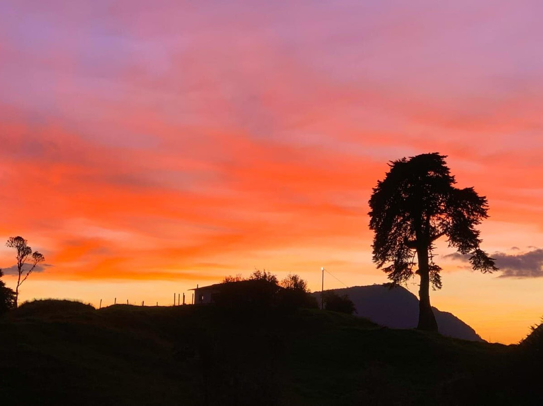Go Explore Colombia-麦德林必去景点