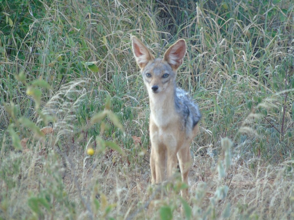 Kichaka Tours And Travel-内罗毕必去景点