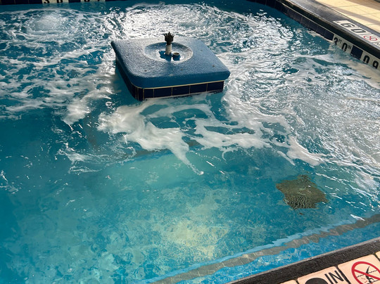 安可里奇希尔顿惠庭套房酒店主图