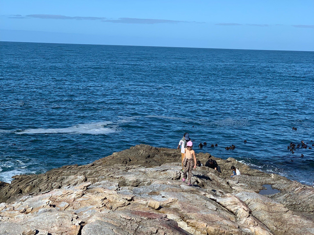Hermanus Cliff Path-赫曼努斯必去景点