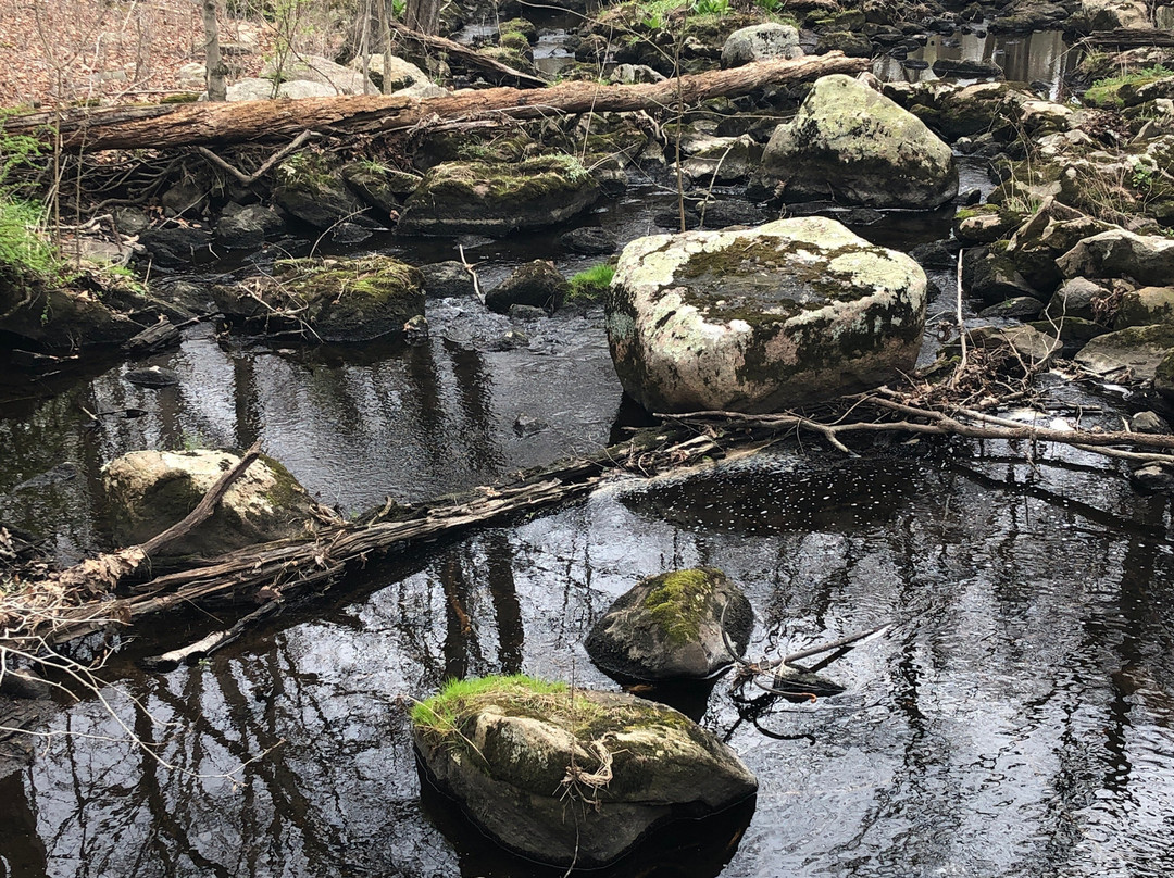Stamford Museum & Nature Center-斯坦福必去景点