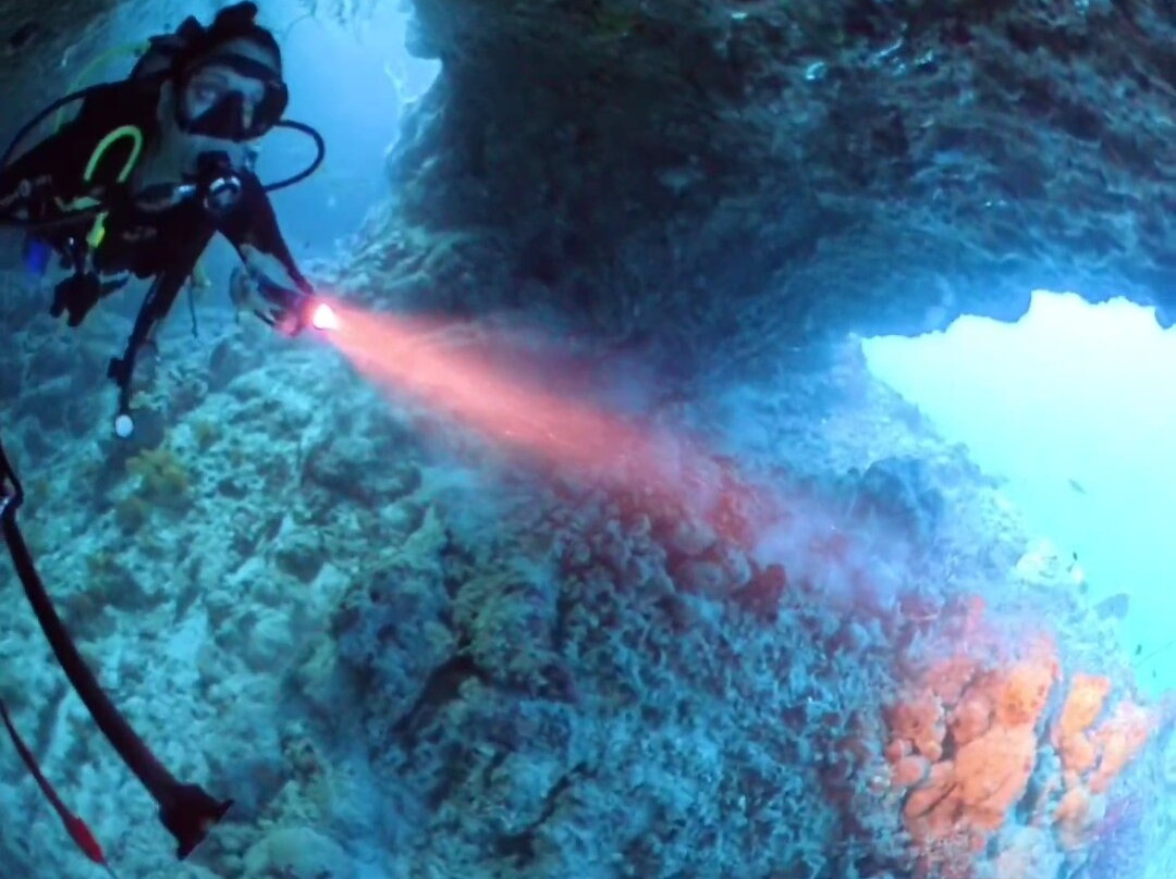 Family Divers Maldives景点图片