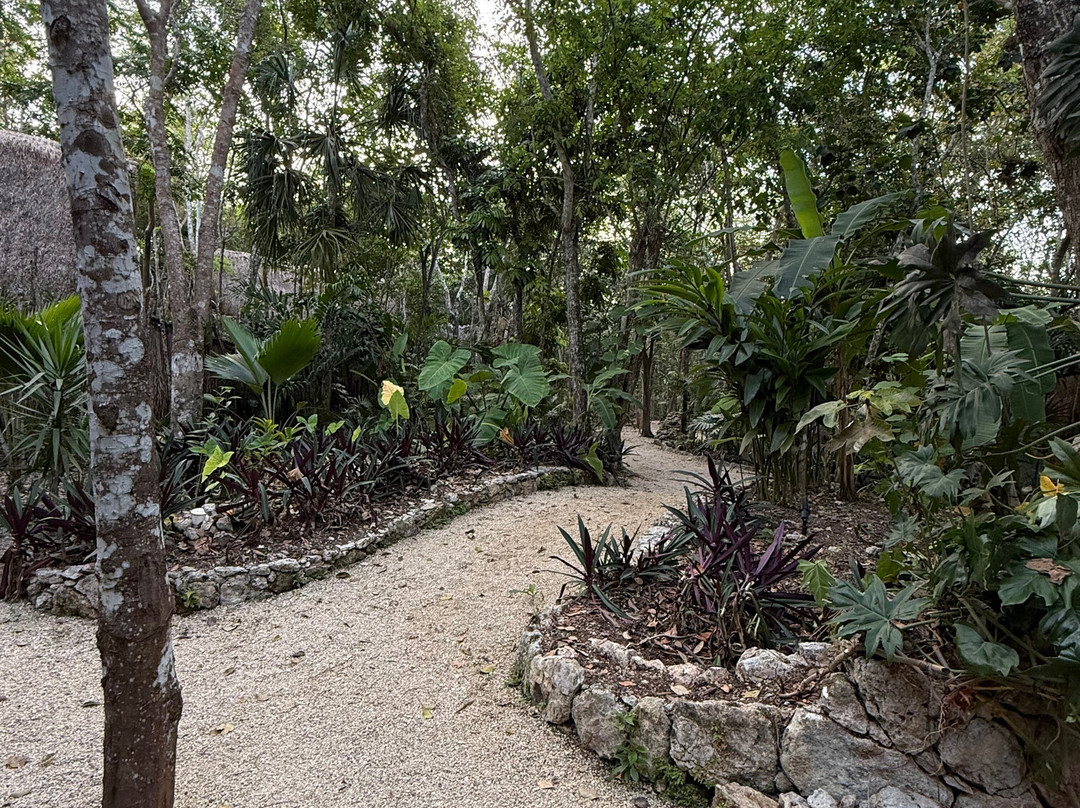 Naya Bacalar Lagoon Front Hotel & Restaurant主图