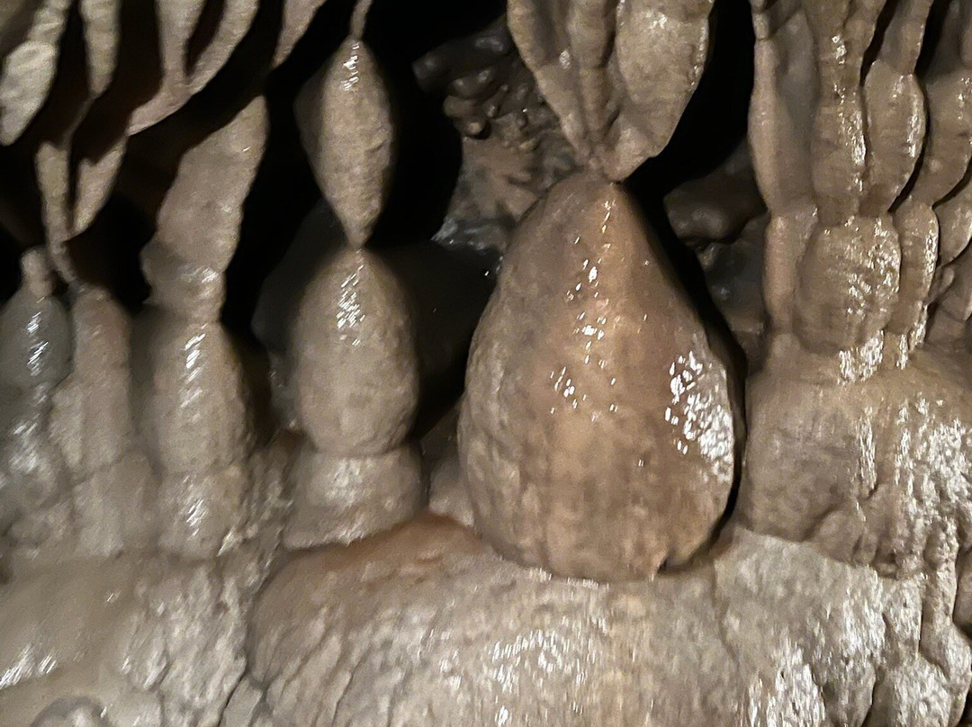 Linville Caverns-Marion必去景点