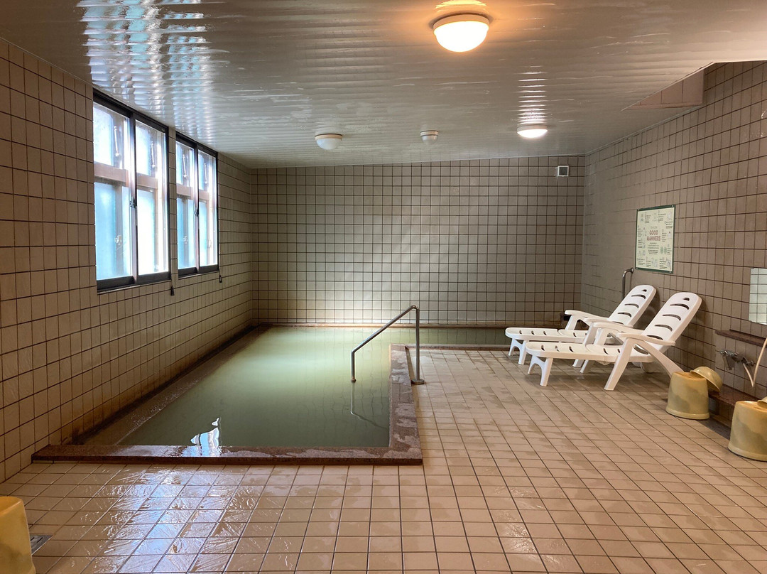 New Onsenkaku Hotel主图