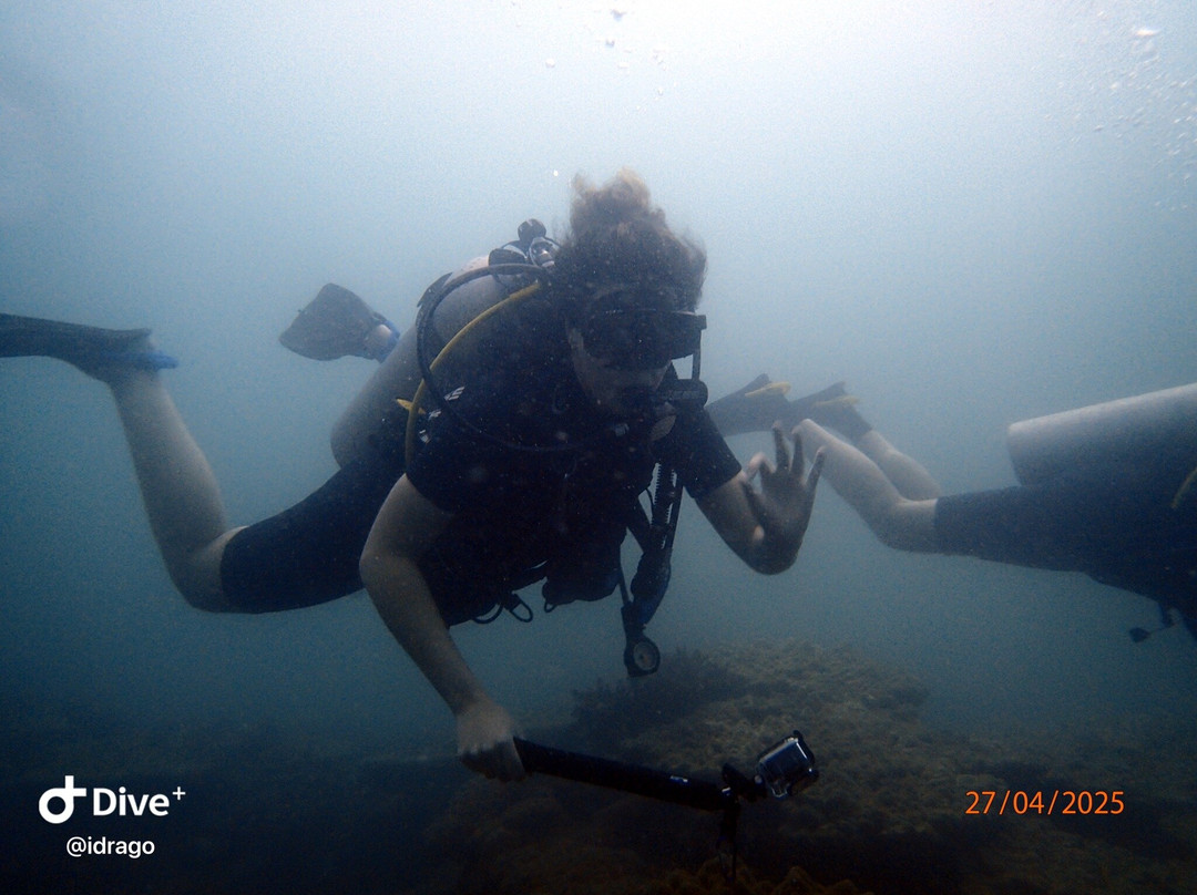 Dive Shack景点图片