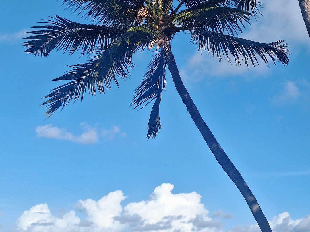 Cathedral Metropolitana of Maceio-Maceio必去景点