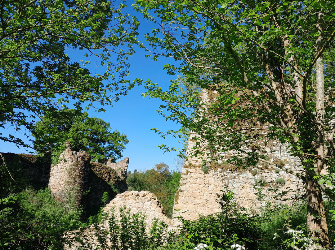 Château de Bressuire景点图片