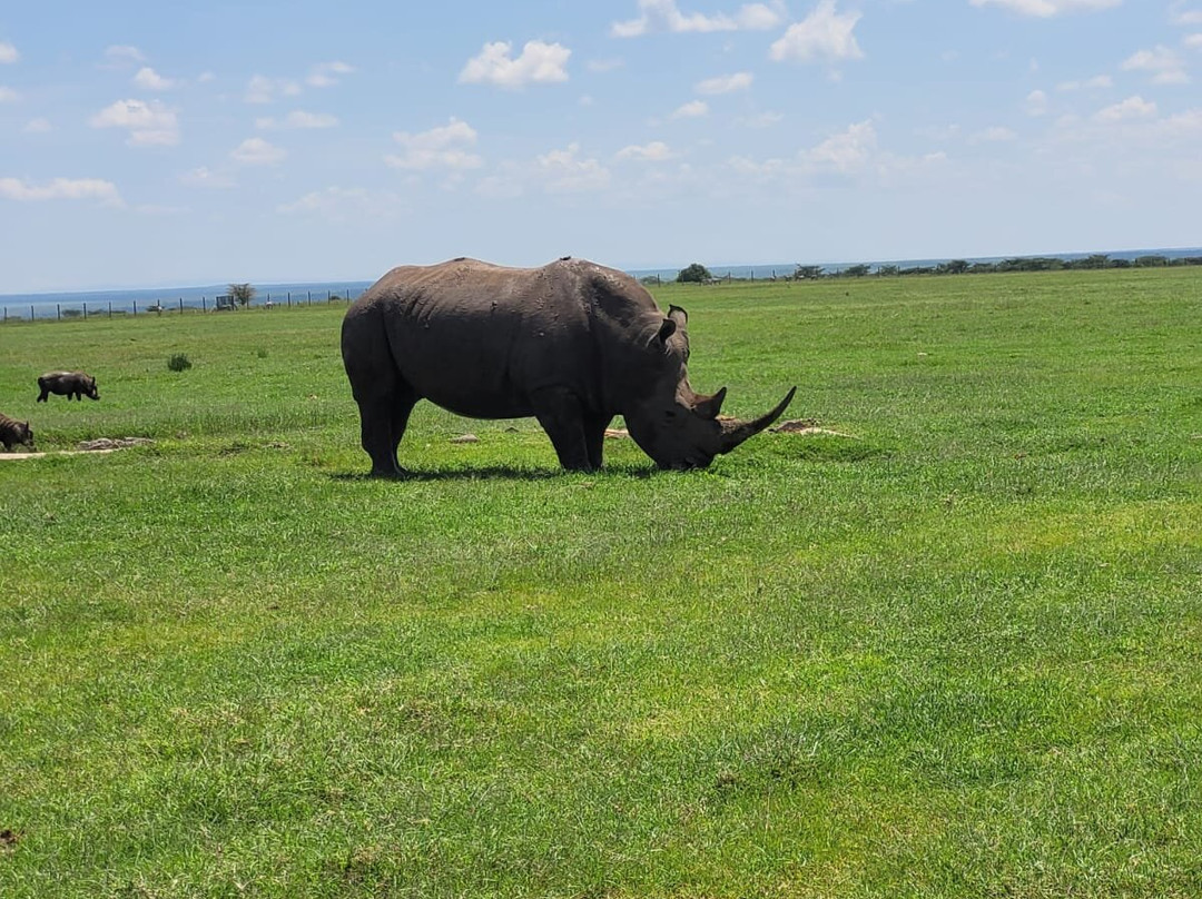 Pinnacle Alpine Tours and Treks-Naro Moru必去景点