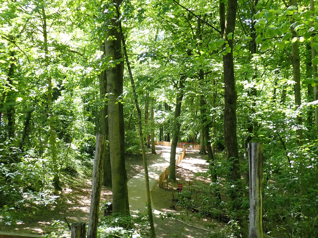 Parc Brugmann-于克勒必去景点