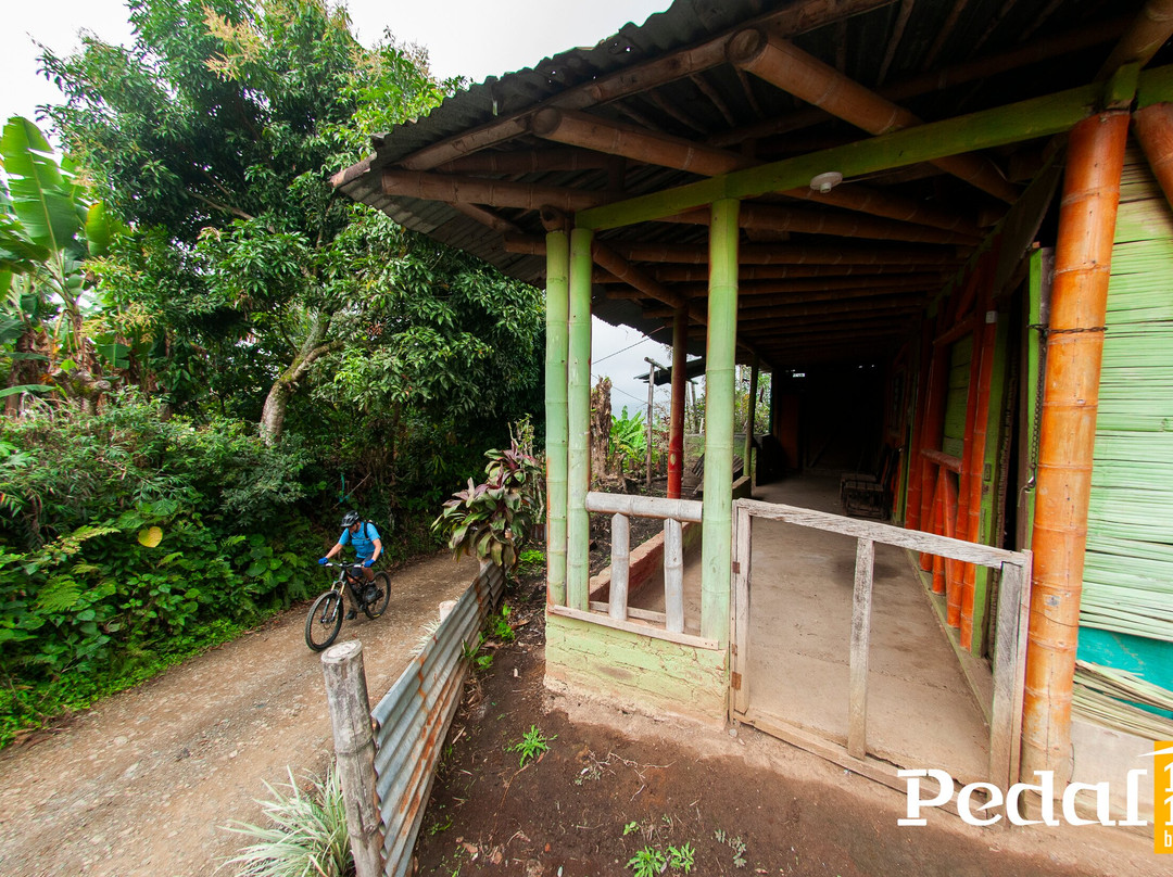 Pedal 1817 By Florida Bike Shop-Villamaria必去景点