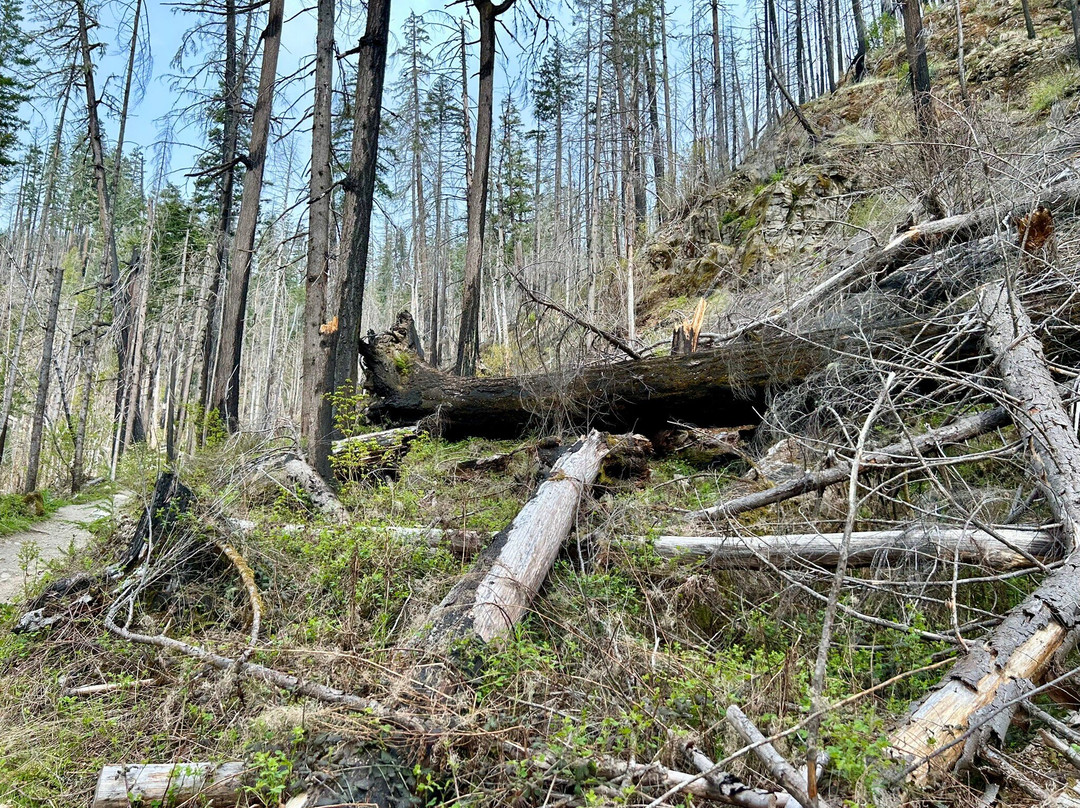 Terwilliger Hot Springs-Blue River必去景点