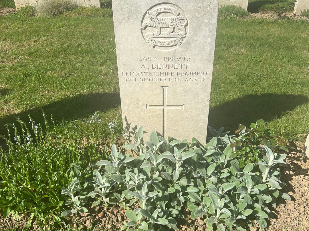 Warlincourt Halte British War Cemetery-Saulty必去景点