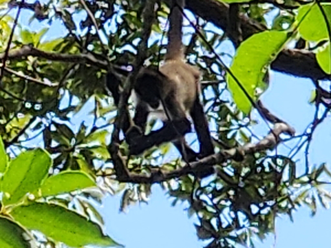 Guanabooking-萨迪纳尔必去景点