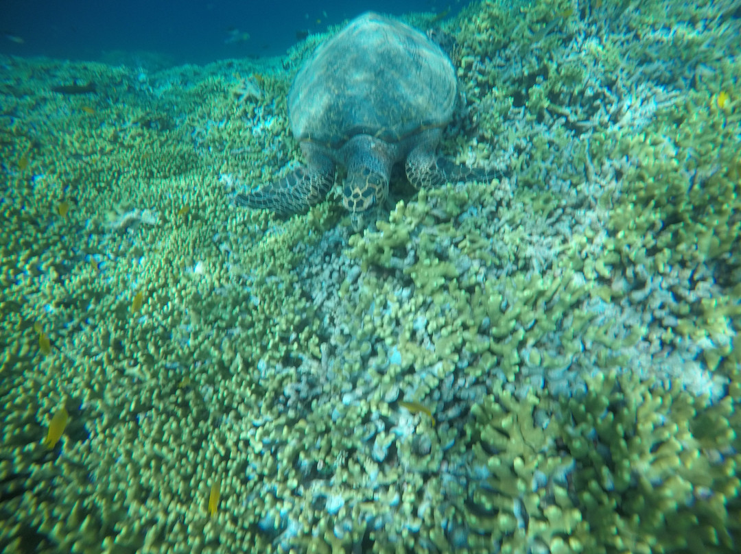 West Bali Explorer-班玉威当必去景点