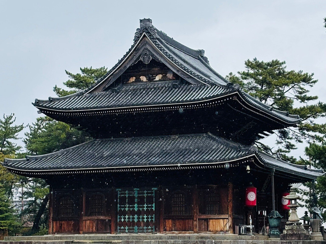 Zentsu-ji Temple-善通寺市必去景点