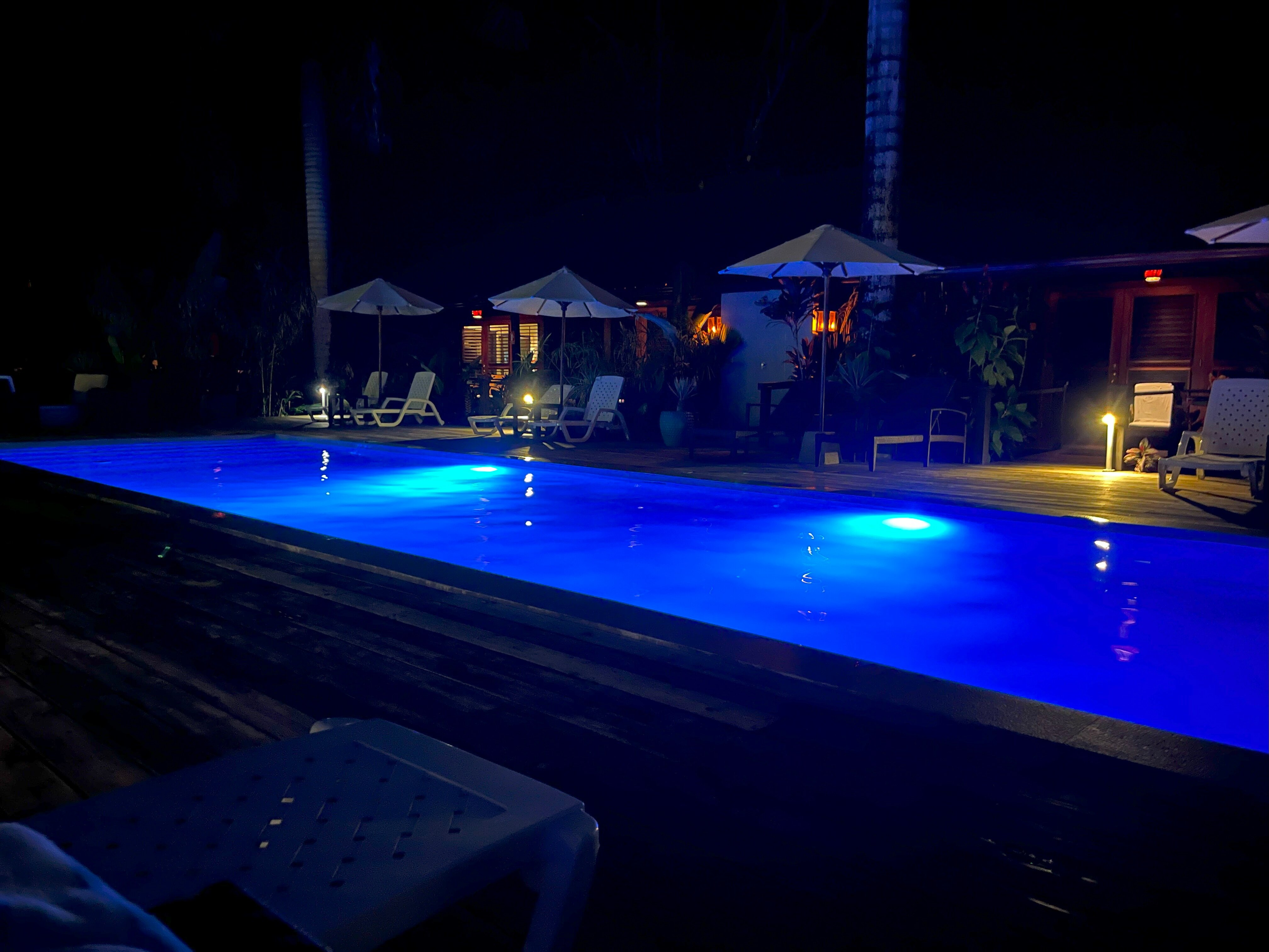 Island Plantation-泳池
