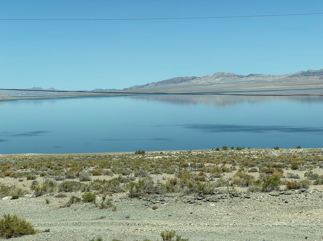 Walker Lake Recreation Area-Hawthorne必去景点