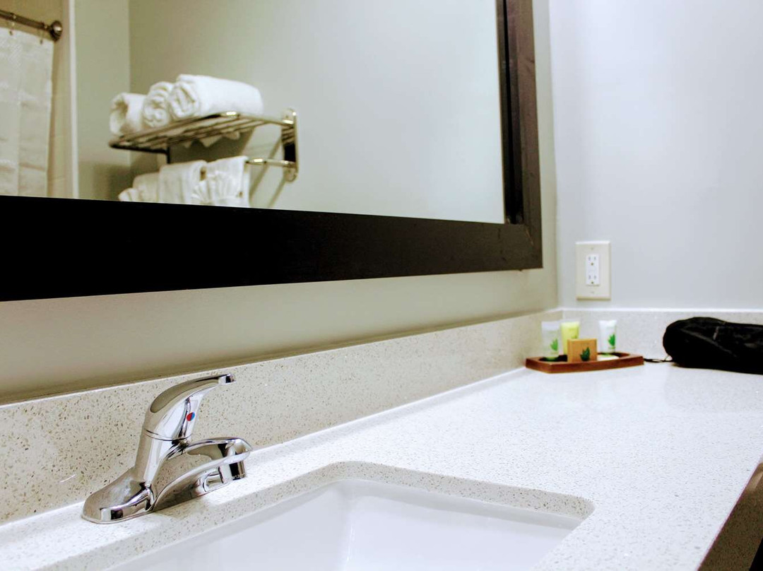 汉布尔酒店住宿-Wingate by Wyndham Humble/Houston Intercontinental Airport