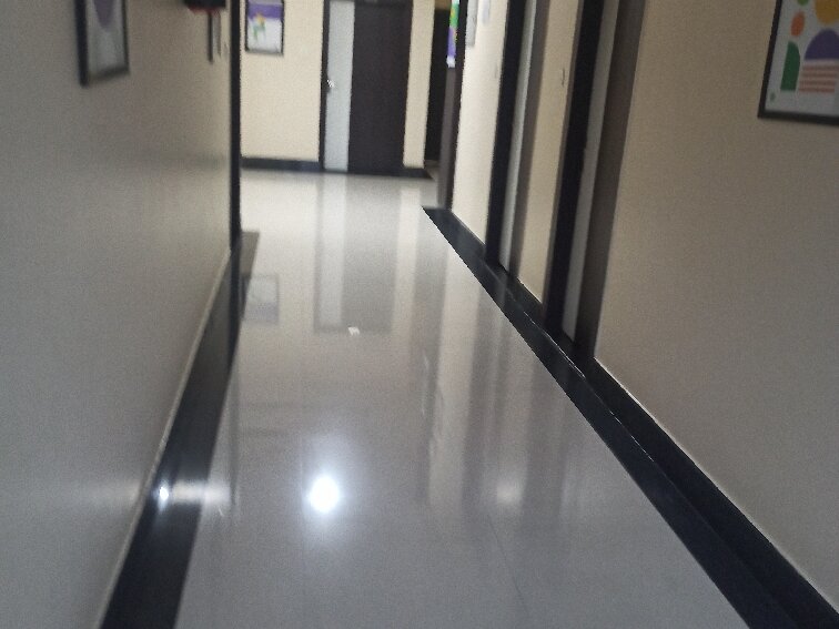 Treebo Hotel Mobi Vip Airport-官方