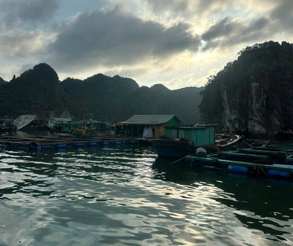 Blue Swimmer Sailing-卡巴必去景点