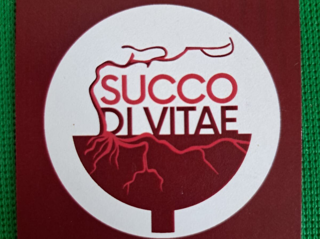 Enoteca Succo Di Vitae-Casale Monferrato必去景点