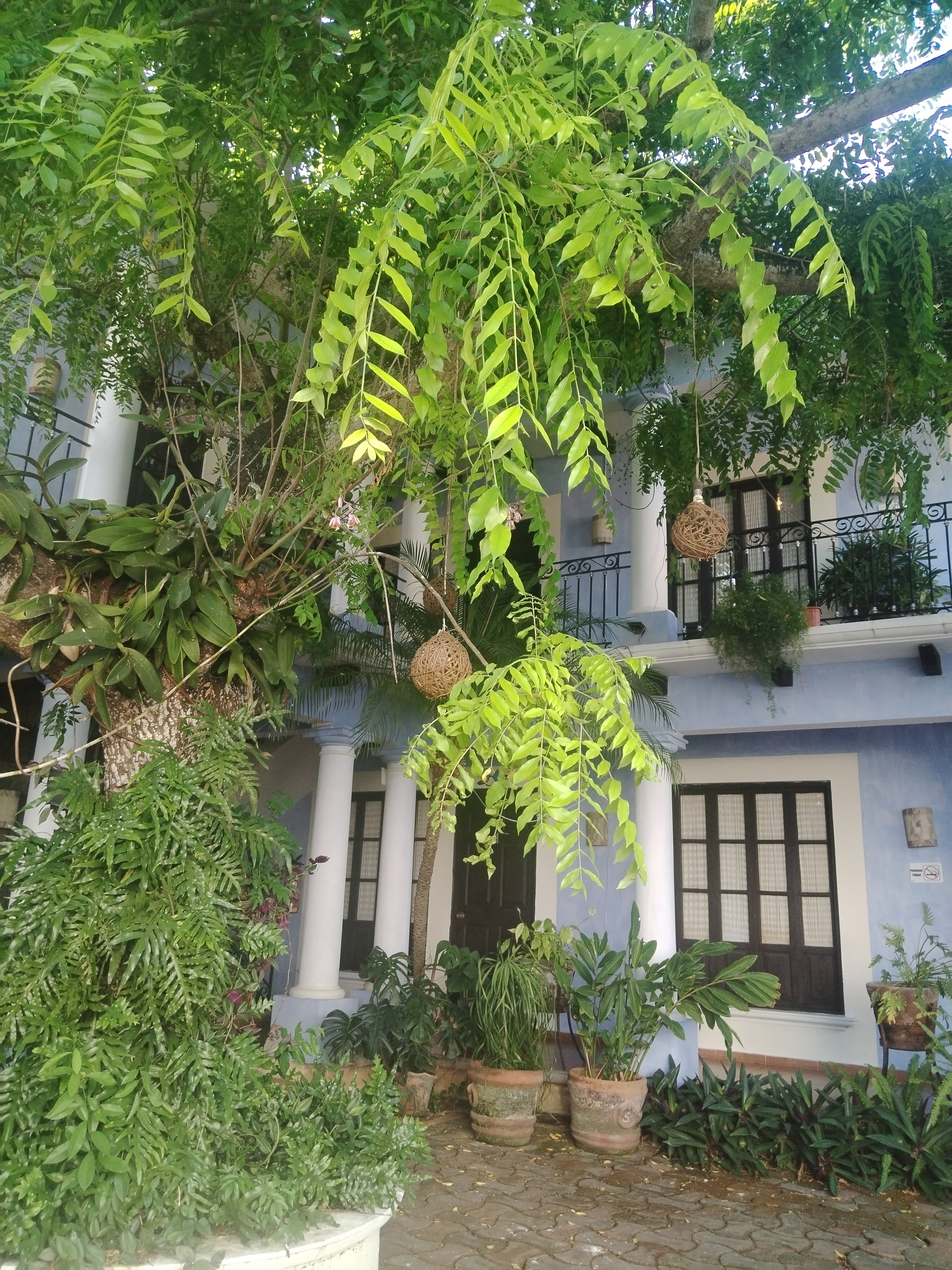 Hostal El Patio-官方