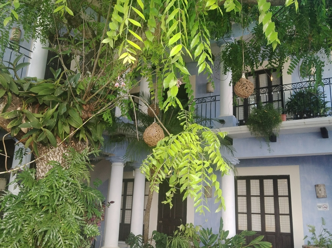 Hostal El Patio主图