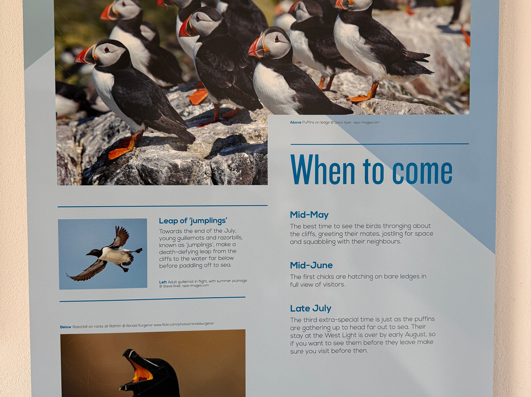 Rathlin Boathouse Visitor Centre-Rathlin Island必去景点