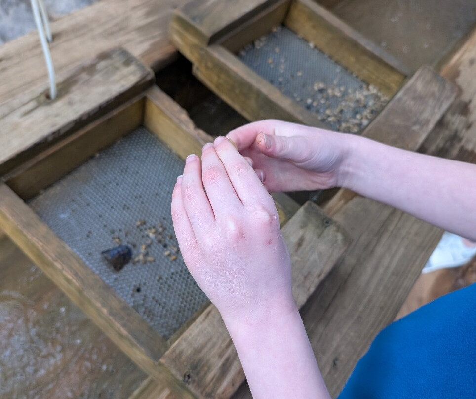 Black Chasm Cavern-Pine Grove必去景点