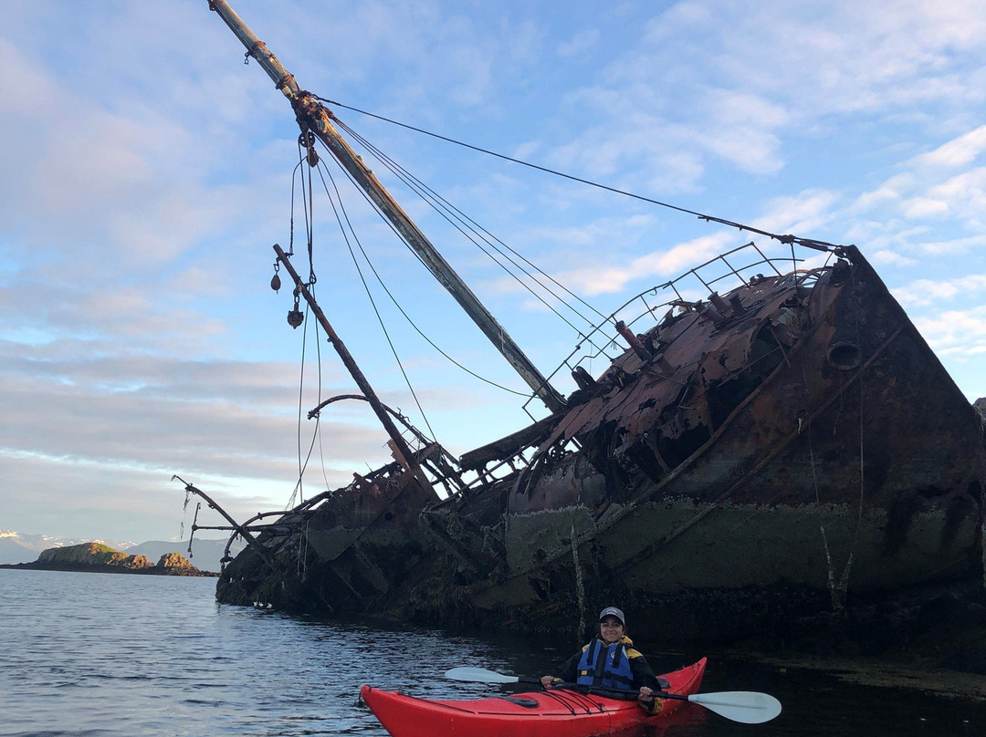 Kontiki Kayaktours-Stykkisholmur必去景点