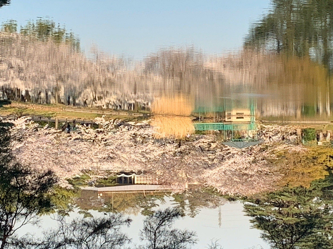 Saitama Prefecture Omiya Park-埼玉市必去景点