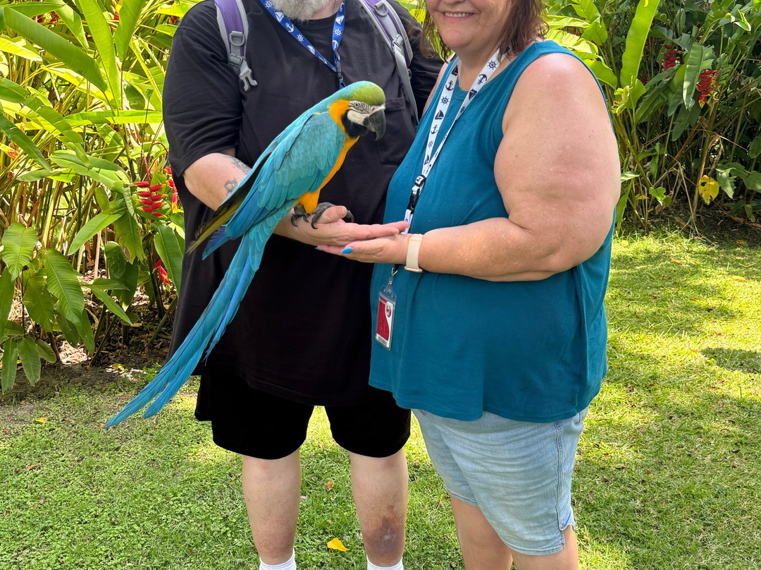 Mega Adventures-普拉塔港必去景点