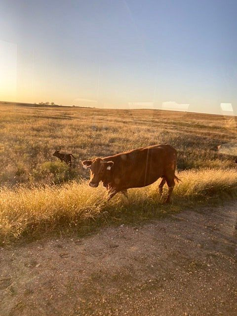 Prairie Earth Tours-恩波里亚必去景点