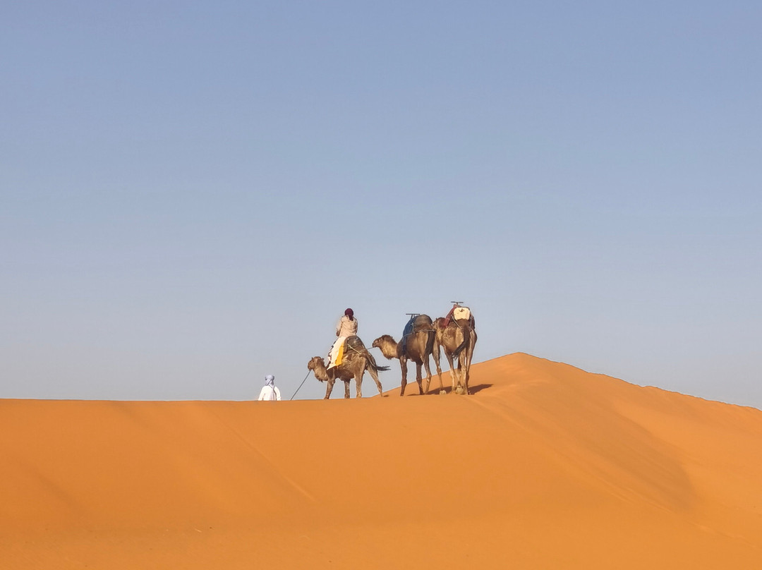 Loud Sahara Day Tours景点图片