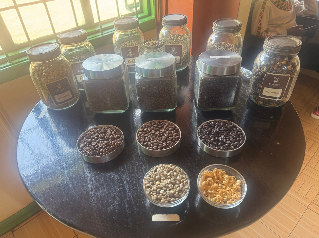 Fairview Coffee Estate景点图片