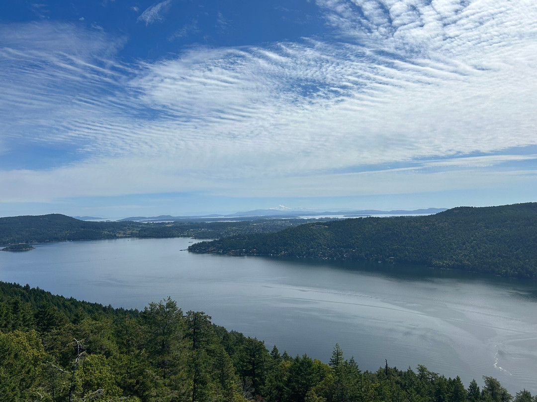 Malahat Skywalk景点图片